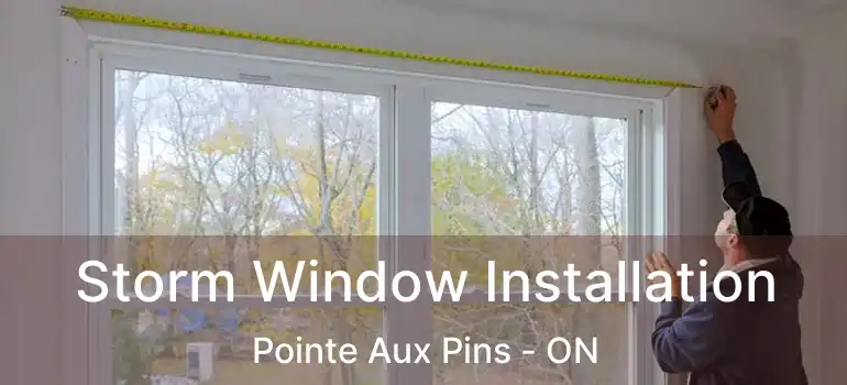  Storm Window Installation Pointe Aux Pins - ON
