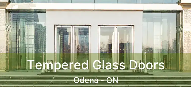  Tempered Glass Doors Odena - ON