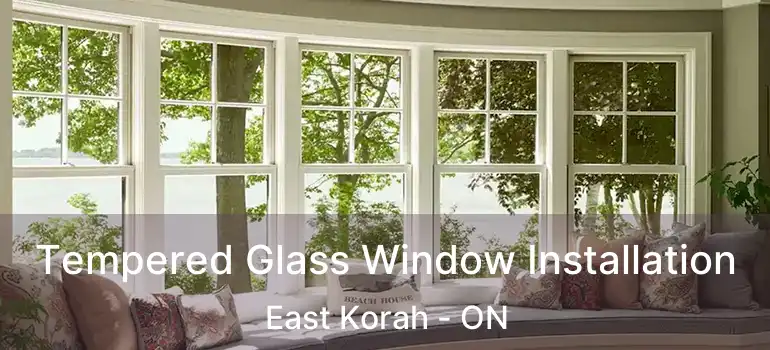  Tempered Glass Window Installation East Korah - ON