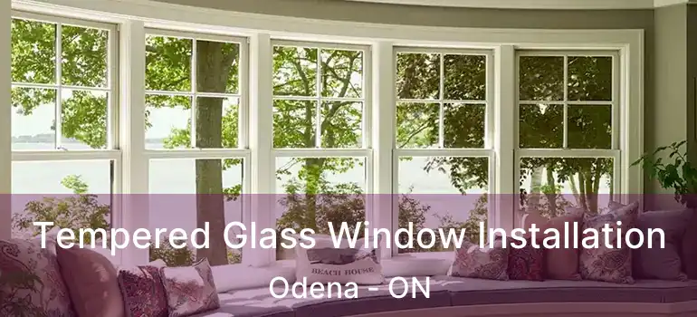  Tempered Glass Window Installation Odena - ON