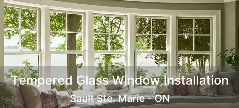  Tempered Glass Window Installation Sault Ste. Marie - ON