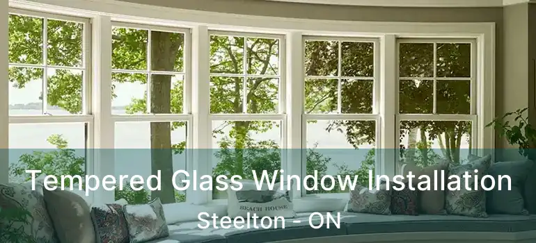  Tempered Glass Window Installation Steelton - ON