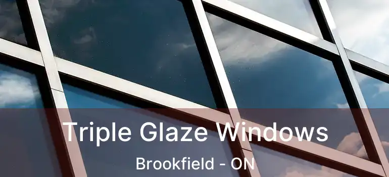  Triple Glaze Windows Brookfield - ON