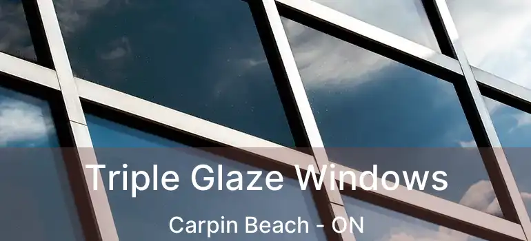  Triple Glaze Windows Carpin Beach - ON