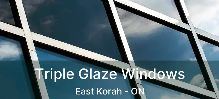  Triple Glaze Windows East Korah - ON