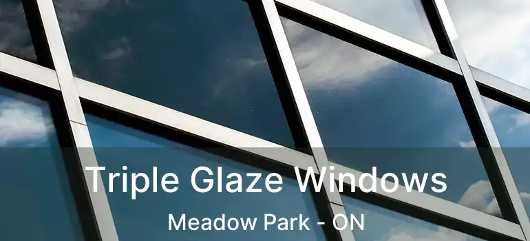  Triple Glaze Windows Meadow Park - ON