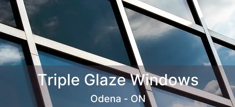  Triple Glaze Windows Odena - ON