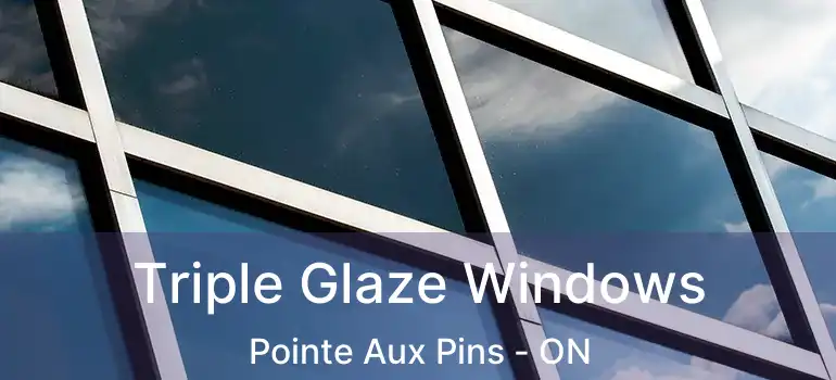 Triple Glaze Windows Pointe Aux Pins - ON