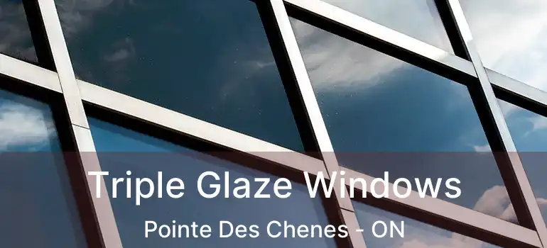  Triple Glaze Windows Pointe Des Chenes - ON