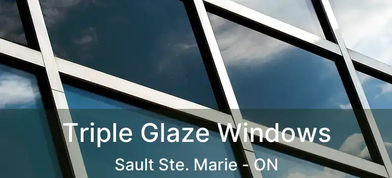  Triple Glaze Windows Sault Ste. Marie - ON