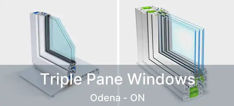  Triple Pane Windows Odena - ON