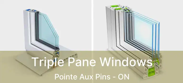  Triple Pane Windows Pointe Aux Pins - ON