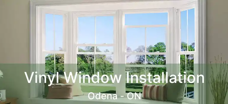  Vinyl Window Installation Odena - ON
