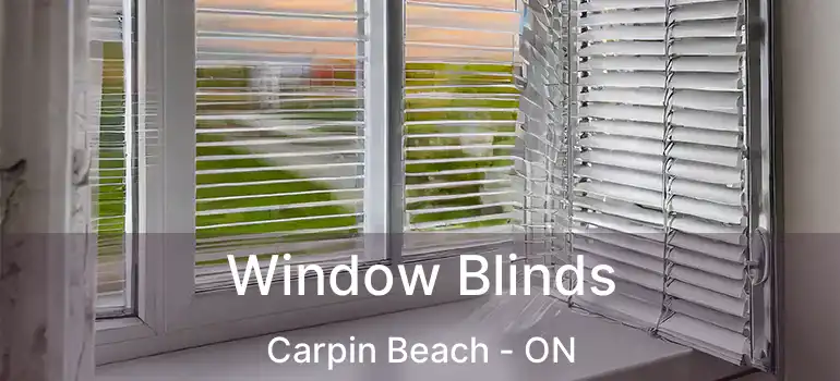  Window Blinds Carpin Beach - ON