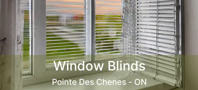  Window Blinds Pointe Des Chenes - ON