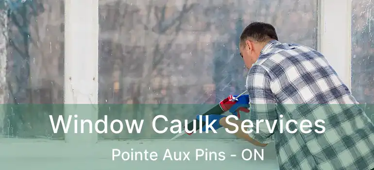  Window Caulk Services Pointe Aux Pins - ON