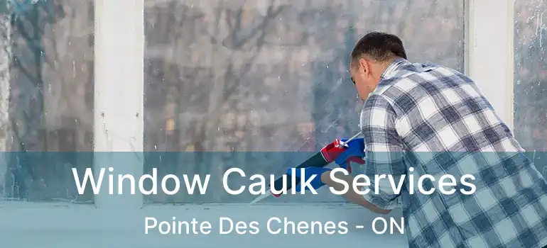  Window Caulk Services Pointe Des Chenes - ON