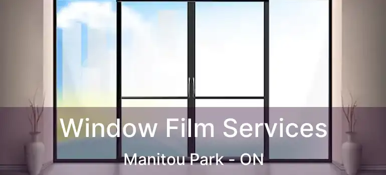  Window Film Services Manitou Park - ON