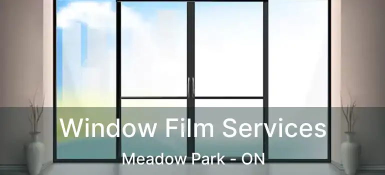  Window Film Services Meadow Park - ON