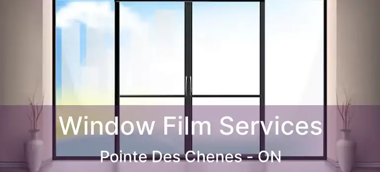  Window Film Services Pointe Des Chenes - ON