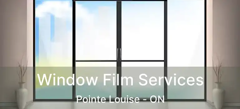  Window Film Services Pointe Louise - ON
