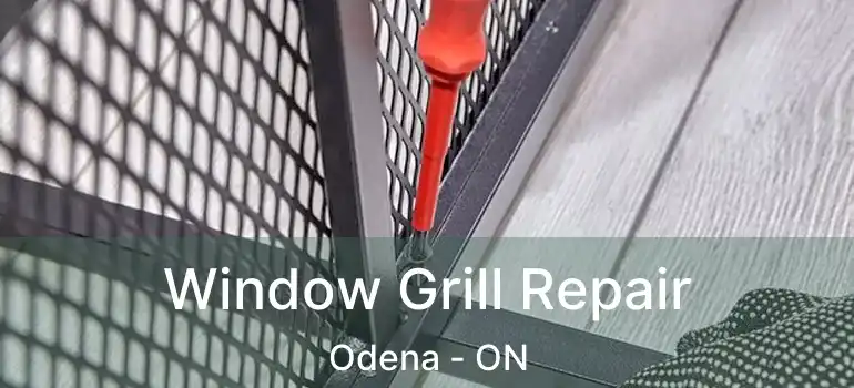  Window Grill Repair Odena - ON