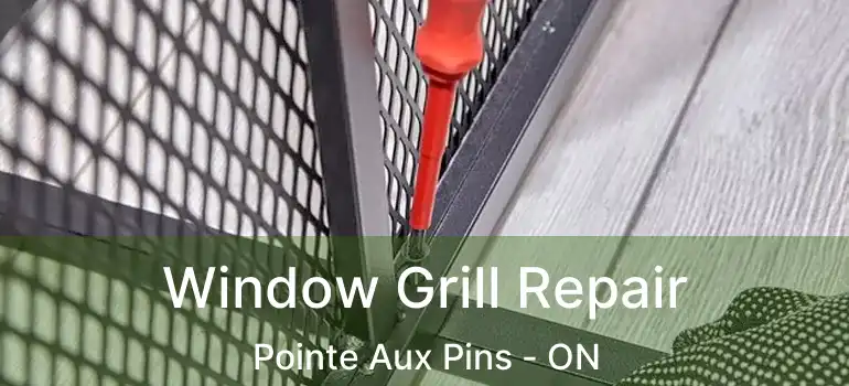  Window Grill Repair Pointe Aux Pins - ON