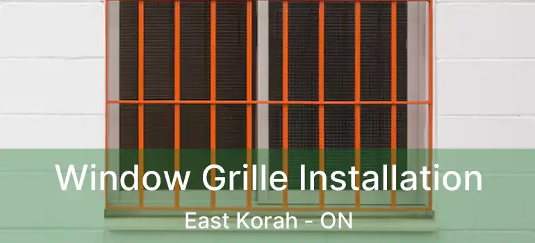  Window Grille Installation East Korah - ON