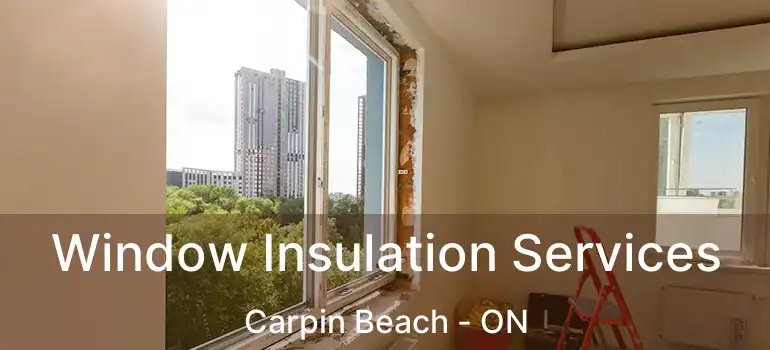  Window Insulation Services Carpin Beach - ON
