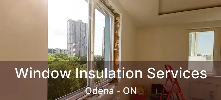  Window Insulation Services Odena - ON