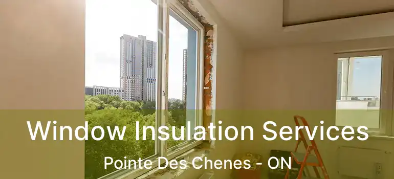 Window Insulation Services Pointe Des Chenes - ON
