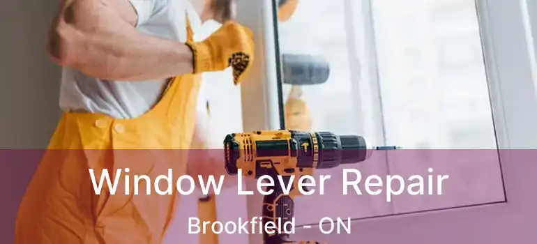  Window Lever Repair Brookfield - ON
