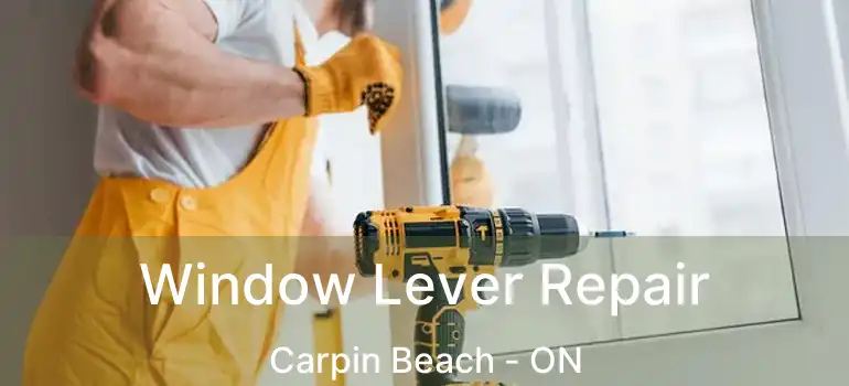  Window Lever Repair Carpin Beach - ON