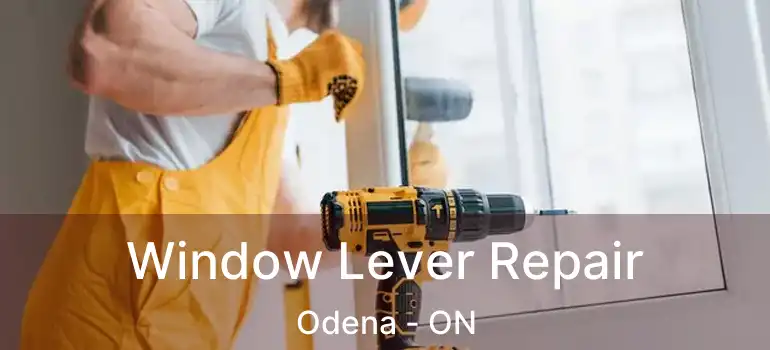  Window Lever Repair Odena - ON