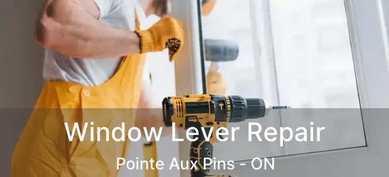  Window Lever Repair Pointe Aux Pins - ON
