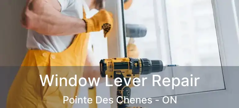  Window Lever Repair Pointe Des Chenes - ON