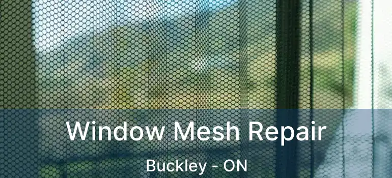  Window Mesh Repair Buckley - ON