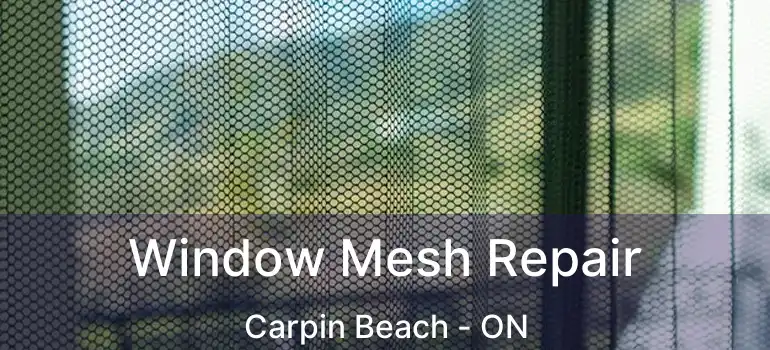  Window Mesh Repair Carpin Beach - ON