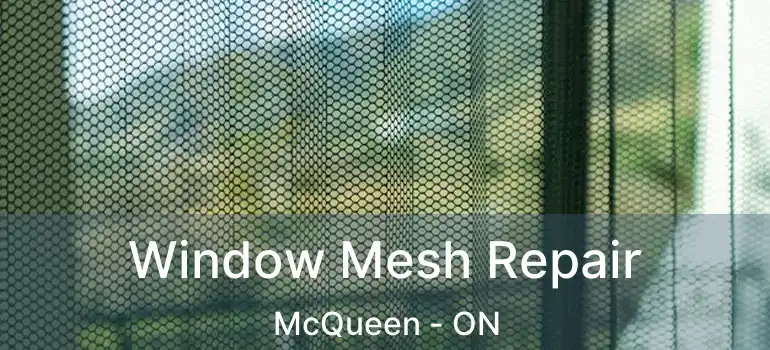  Window Mesh Repair McQueen - ON
