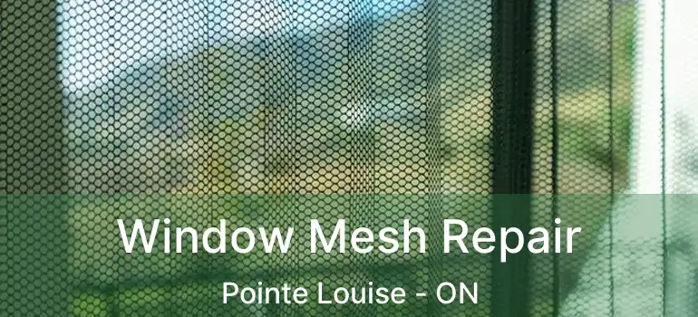  Window Mesh Repair Pointe Louise - ON