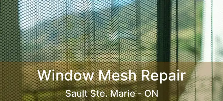  Window Mesh Repair Sault Ste. Marie - ON