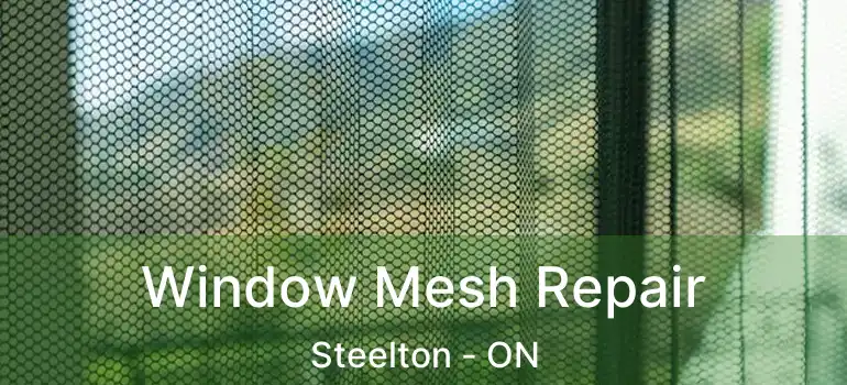  Window Mesh Repair Steelton - ON