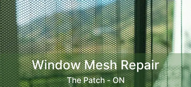  Window Mesh Repair The Patch - ON