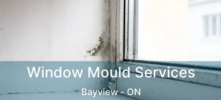  Window Mould Services Bayview - ON