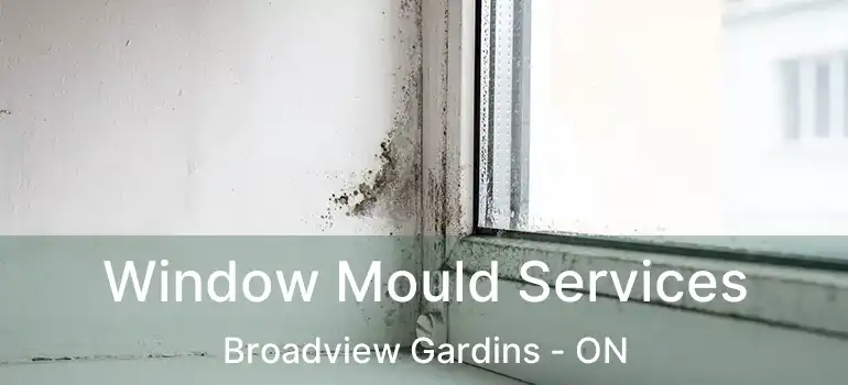  Window Mould Services Broadview Gardins - ON