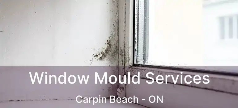  Window Mould Services Carpin Beach - ON