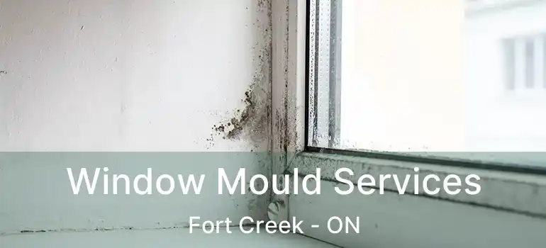  Window Mould Services Fort Creek - ON