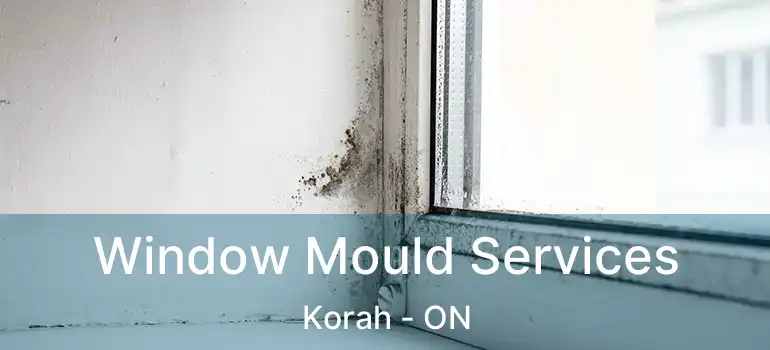  Window Mould Services Korah - ON