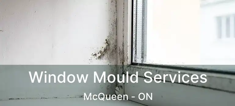  Window Mould Services McQueen - ON