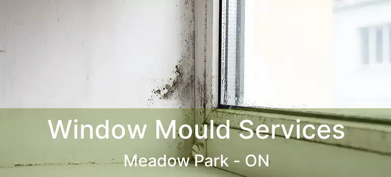  Window Mould Services Meadow Park - ON